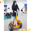 Scooter de 2 ruedas para ir de compras
